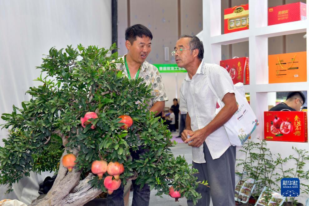大疆官方网站中文